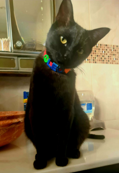 Leo