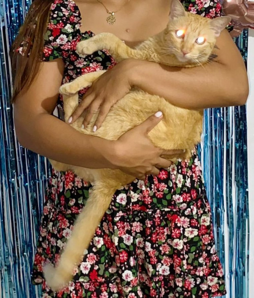 Niña