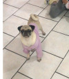 Foto de Fiona en  Nuevo León #2