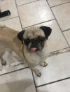 Foto de Fiona en  Nuevo León #1