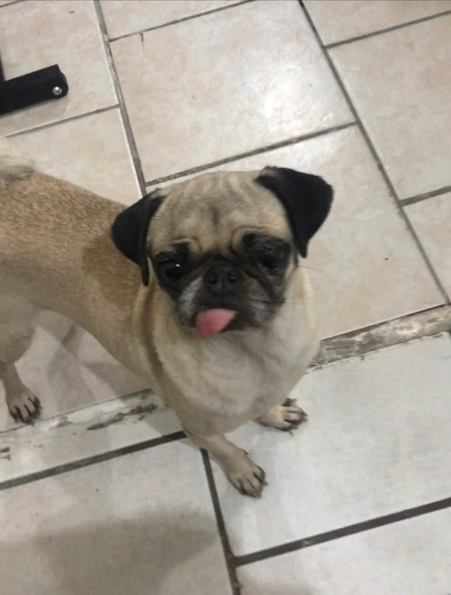 Fiona