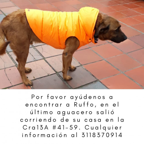 Rufo