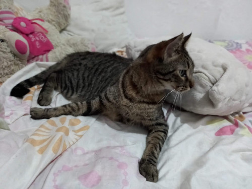 Coco