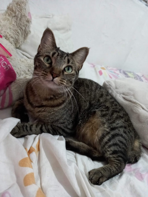 Coco