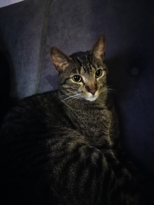 Gary