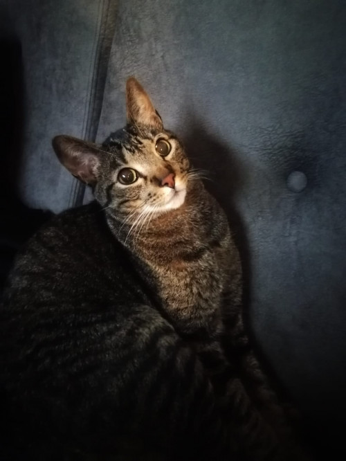 Gary