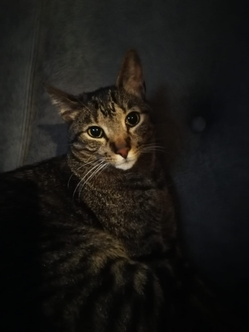 Gary