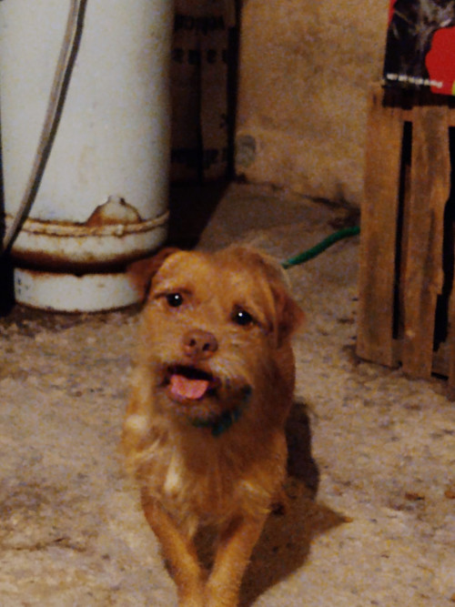 Milo