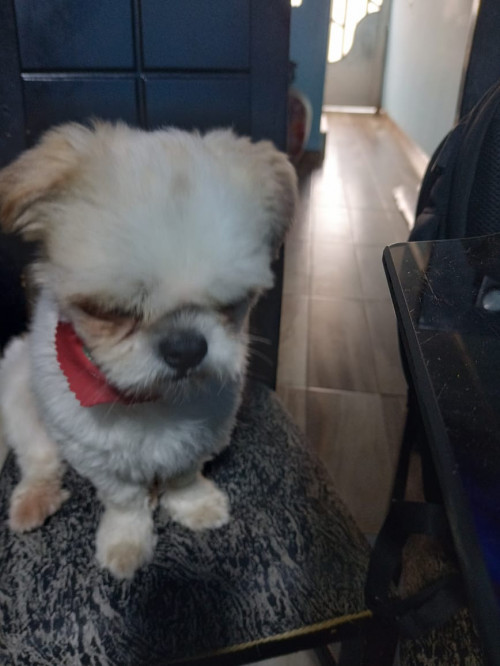 Tobby