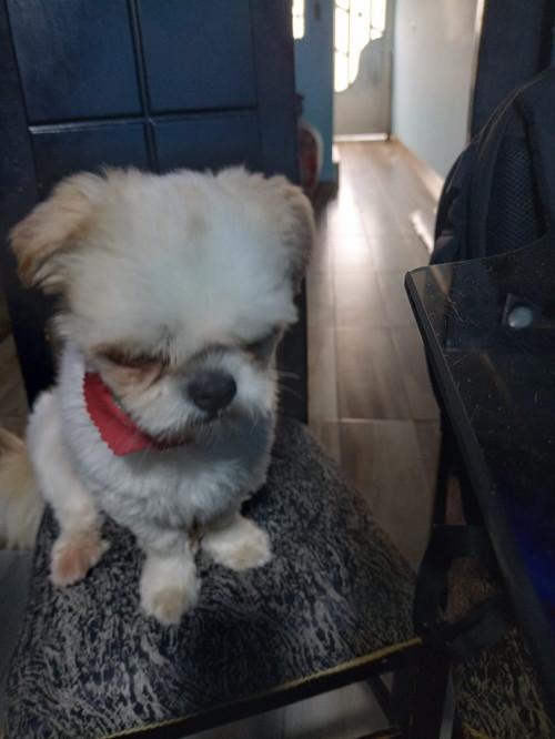 Tobby