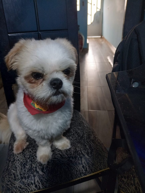 Tobby
