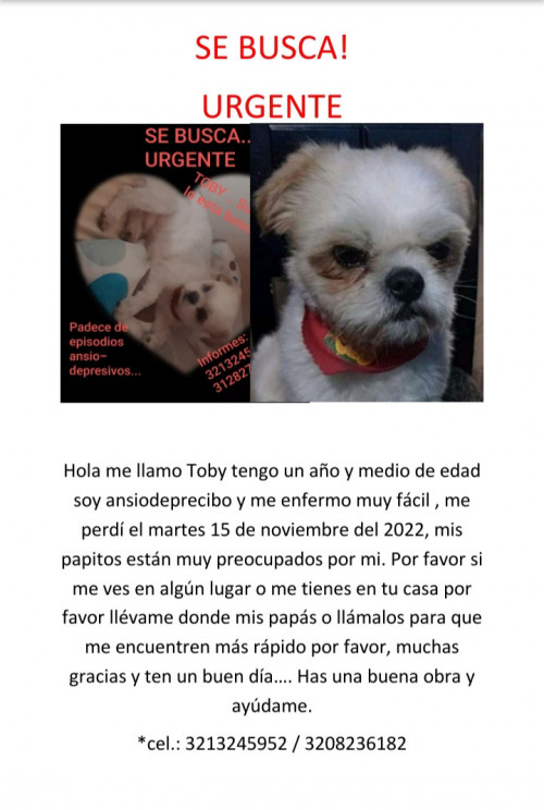Tobby