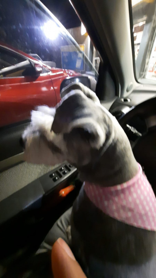 Keisy