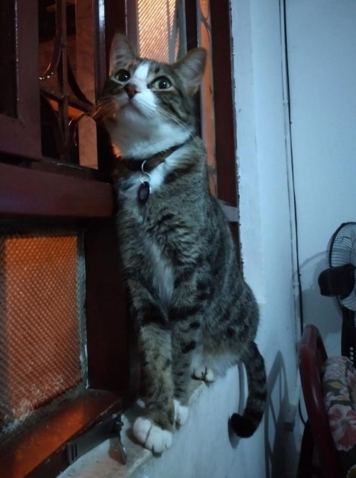 Lucy