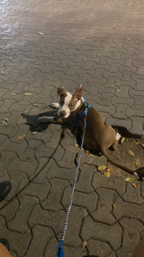 Max