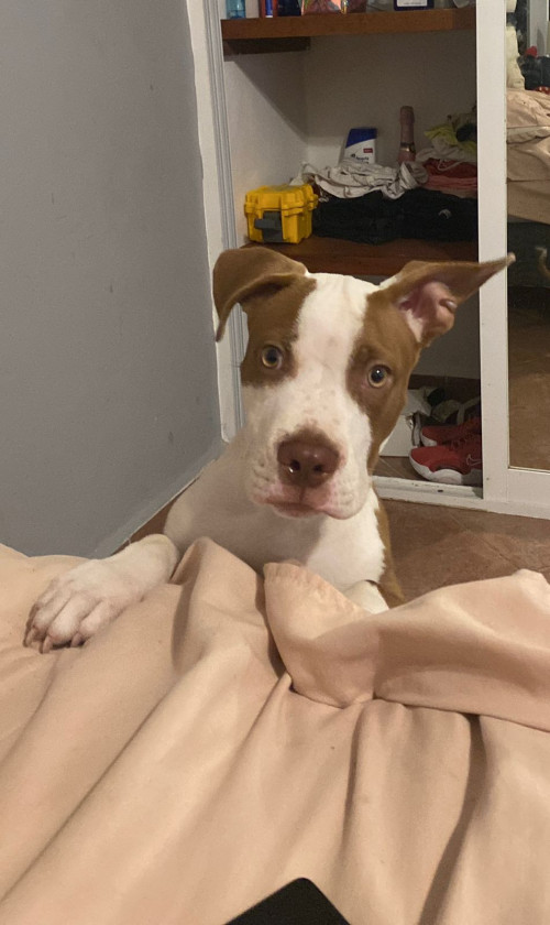 Max