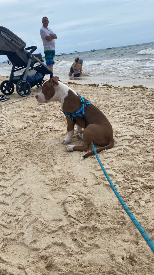 Max