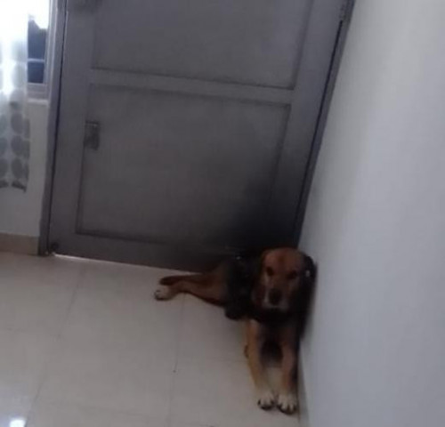 Mateo