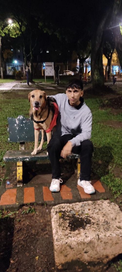 Mateo