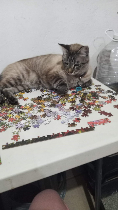 Many