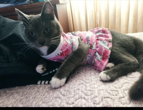Frida
