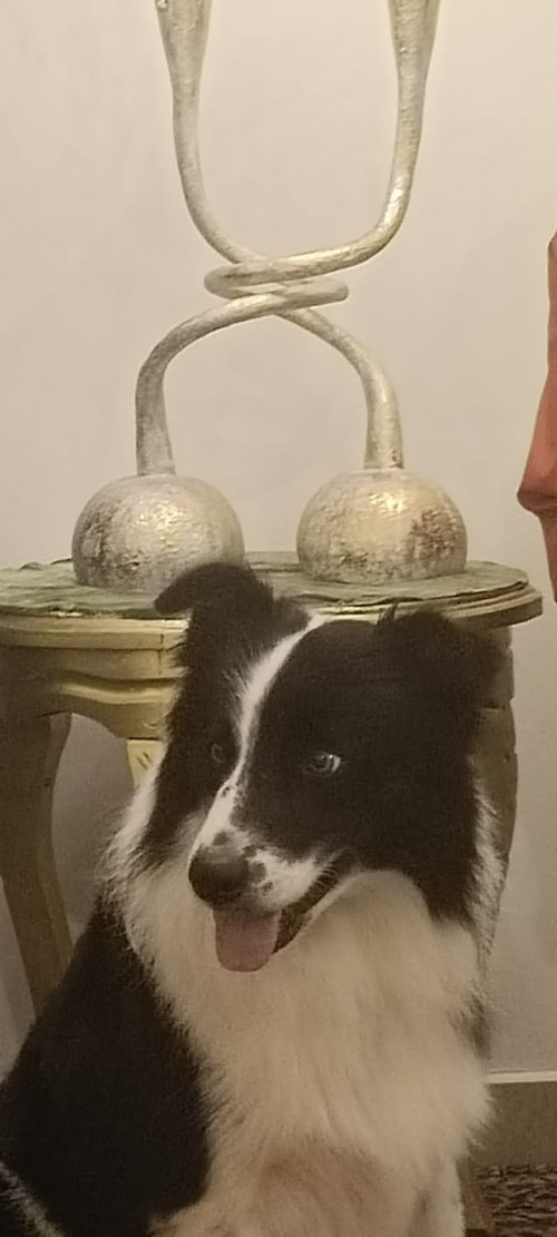 Zeus