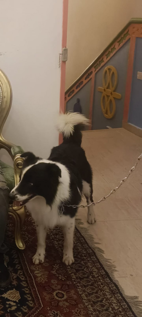 Zeus