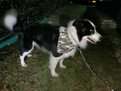 Zeus
