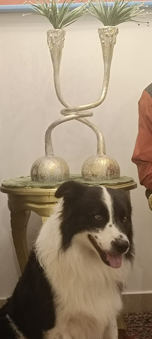 Zeus