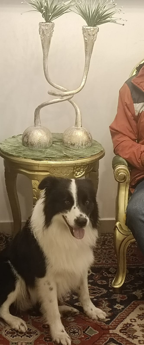 Zeus
