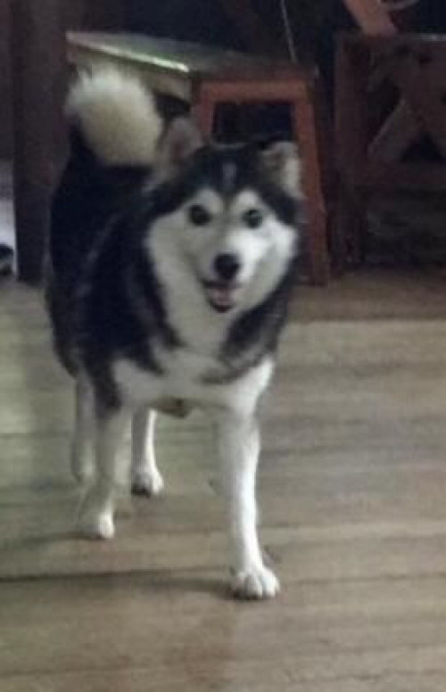 Alaska