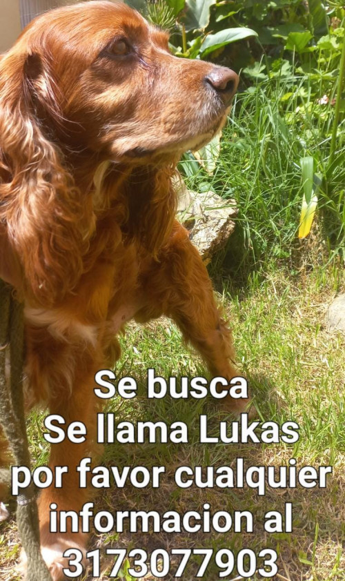 Lukas