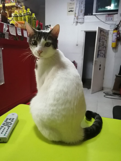 Orión