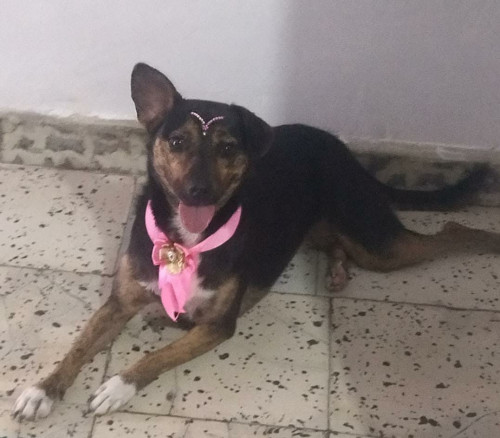Luna Sofía