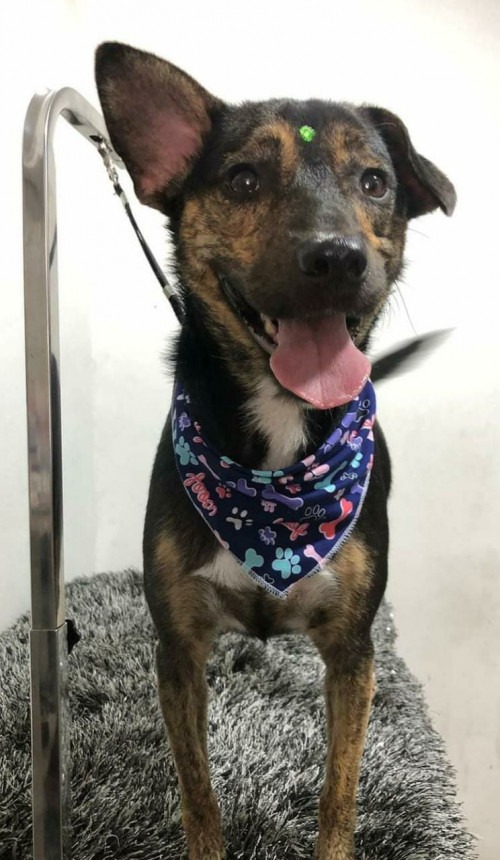 Luna Sofía