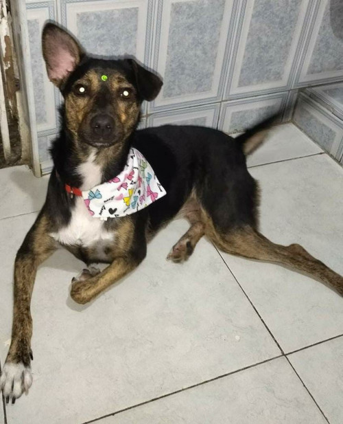Luna Sofía