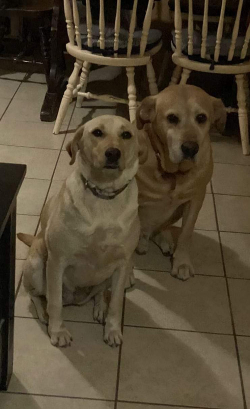 Hunter Y Miley