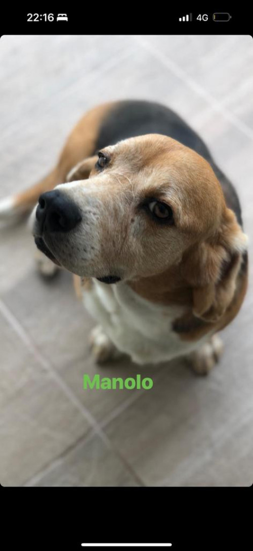 Manolo