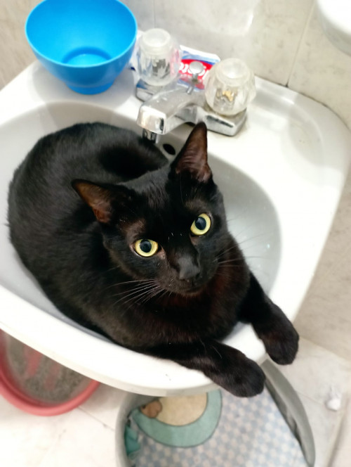 Tachalla