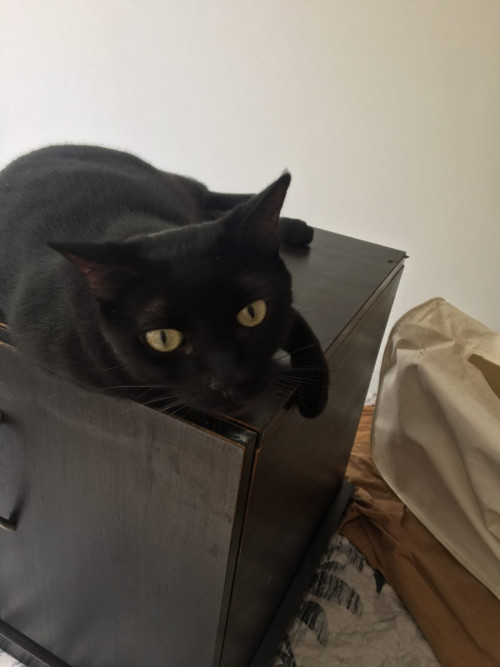 Tachalla