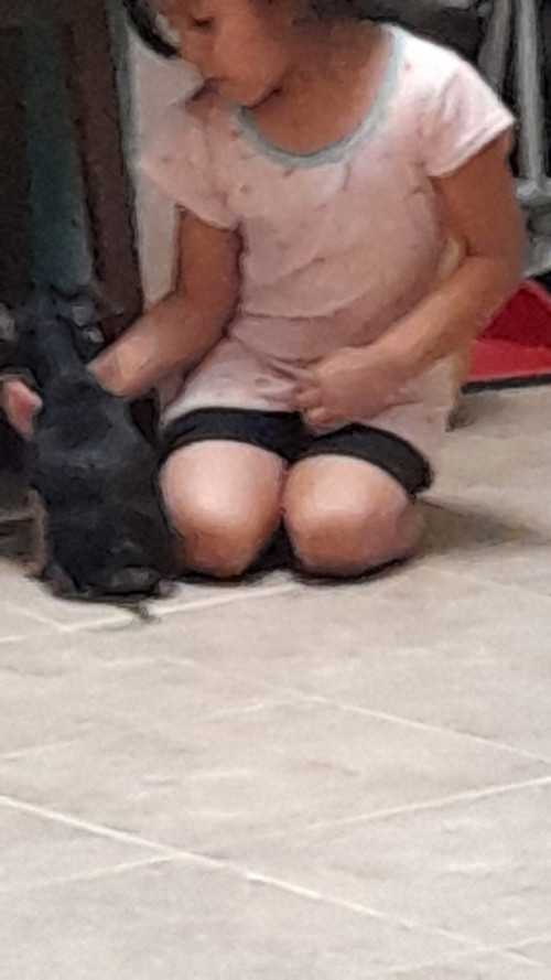 Pili