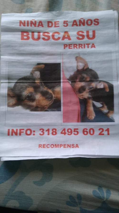 Pili