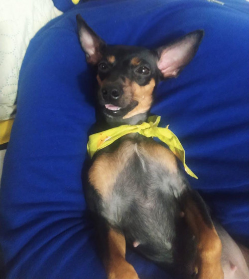 Tequila