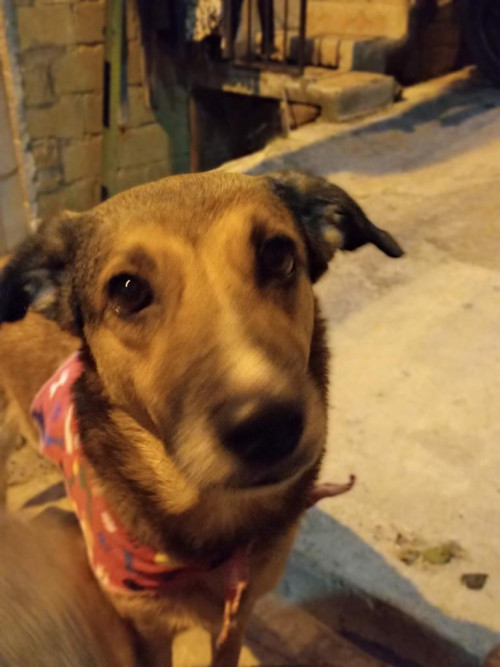 Keila