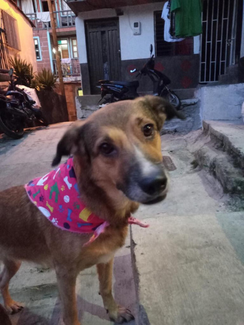 Keila