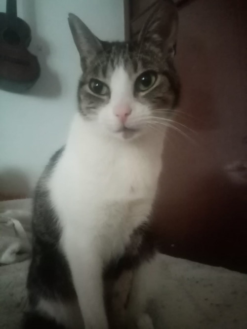 Luna