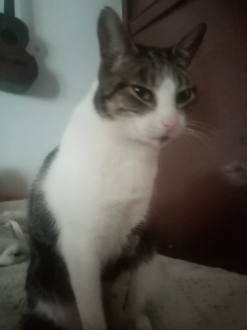 Luna