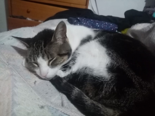 Luna