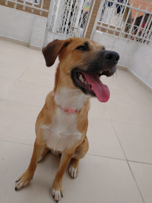 Kira