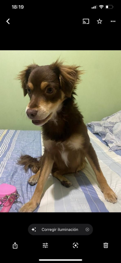Max
